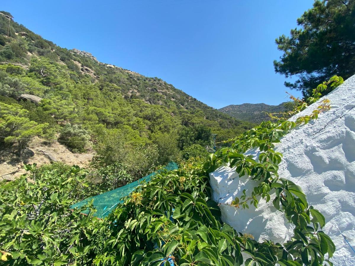 Oleander'S Garden Traditional Cretan Cottage Ferma Exterior photo