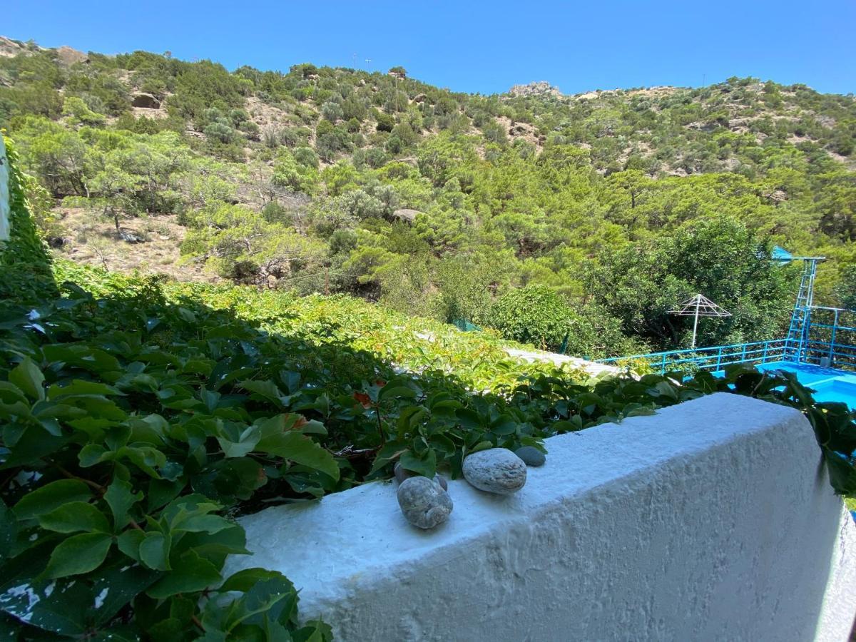Oleander'S Garden Traditional Cretan Cottage Ferma Exterior photo