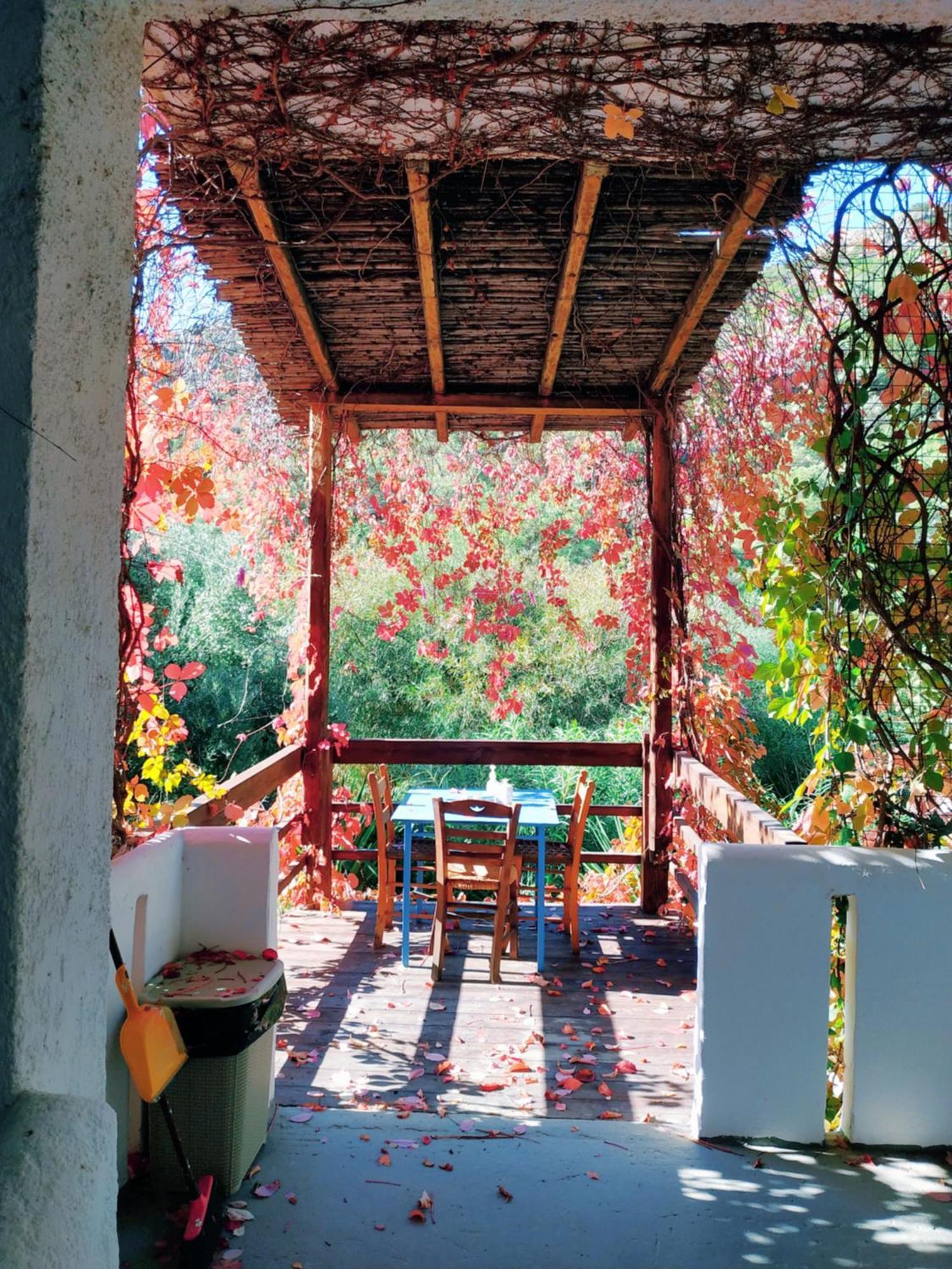 Oleander'S Garden Traditional Cretan Cottage Ferma Exterior photo