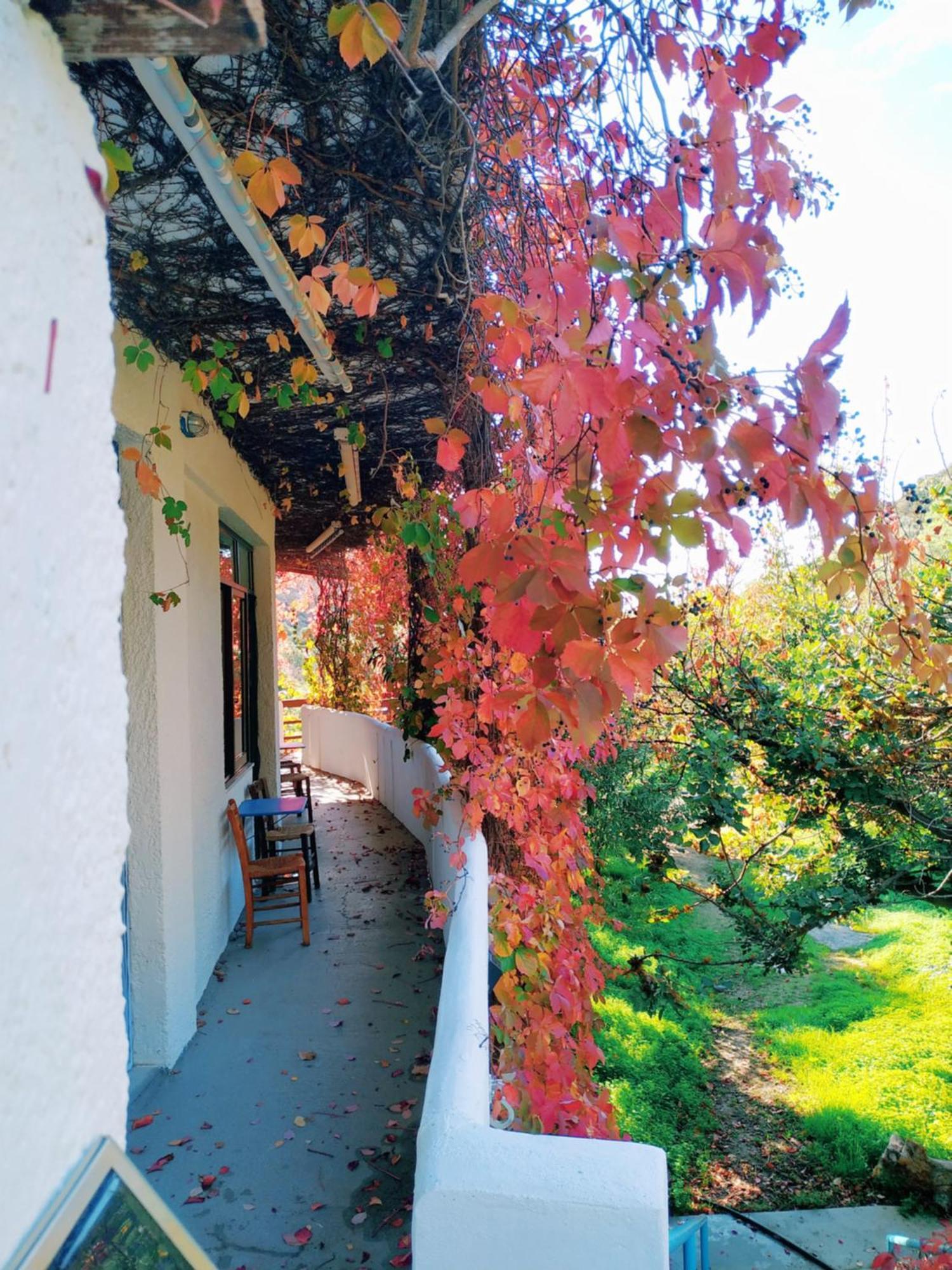 Oleander'S Garden Traditional Cretan Cottage Ferma Exterior photo