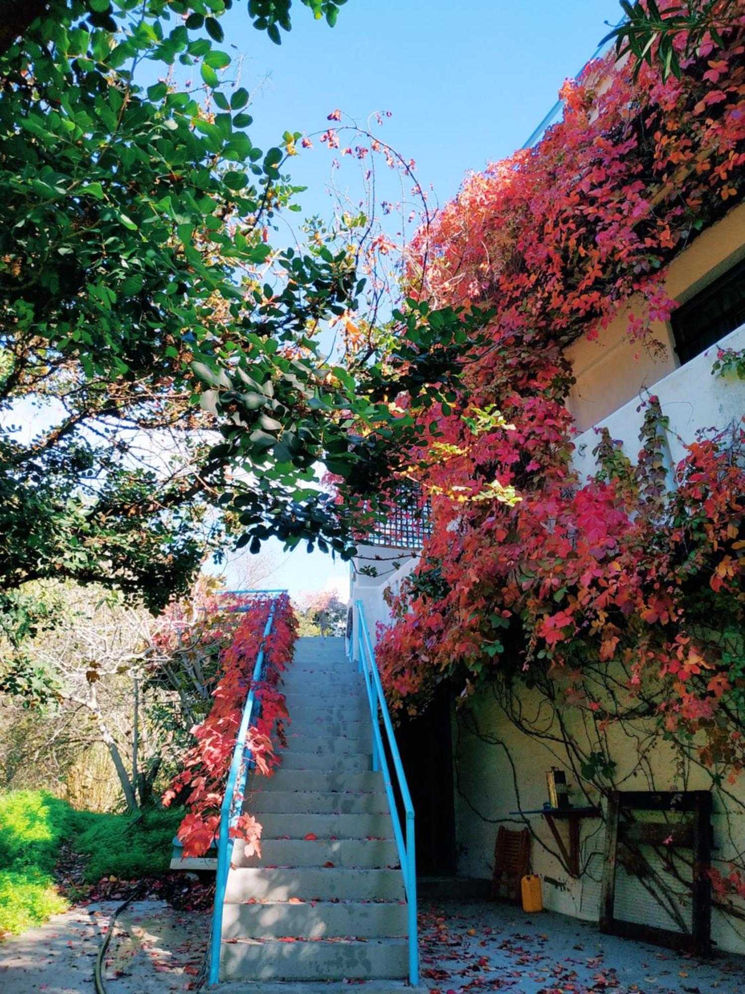 Oleander'S Garden Traditional Cretan Cottage Ferma Exterior photo