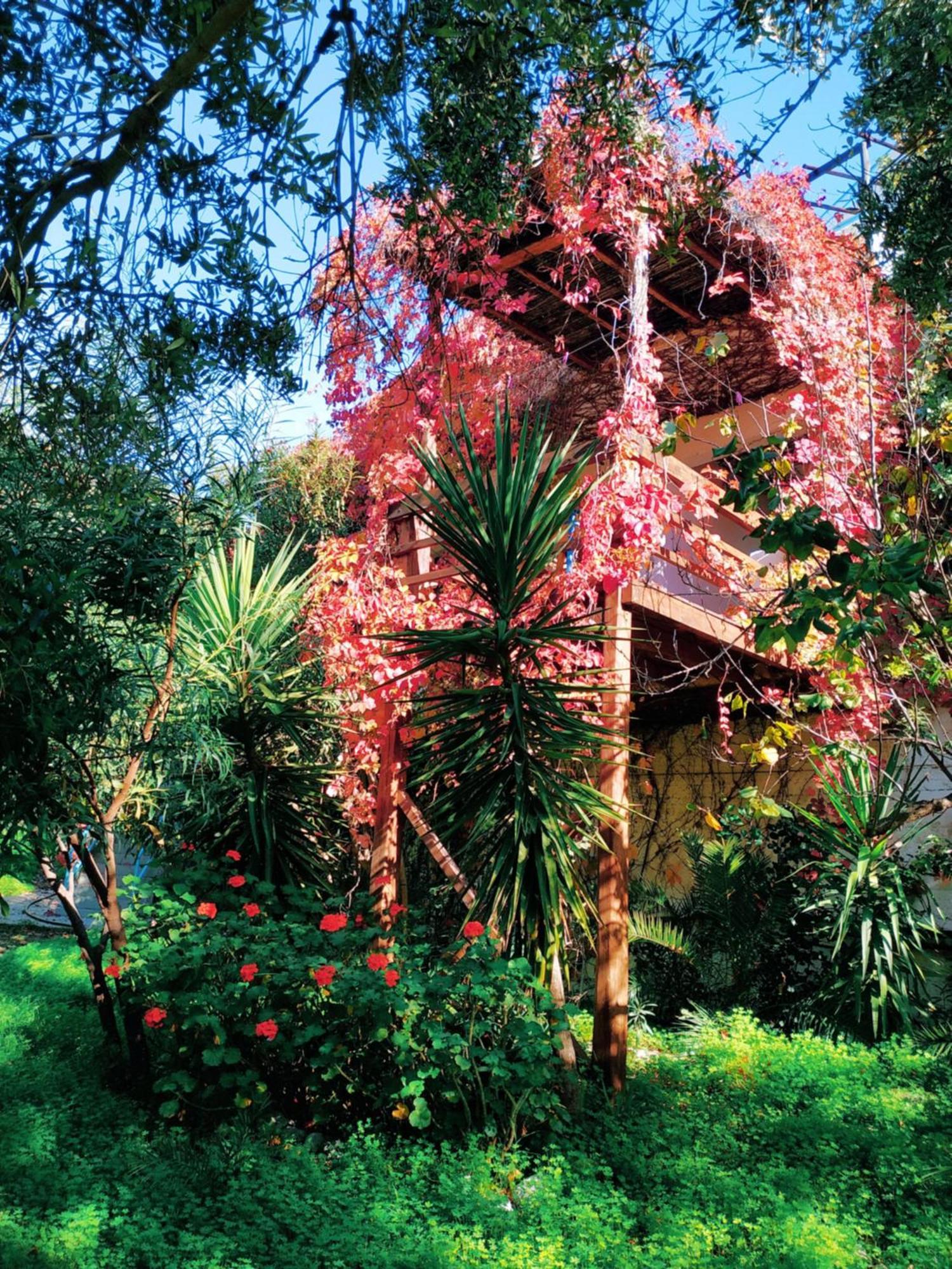 Oleander'S Garden Traditional Cretan Cottage Ferma Exterior photo