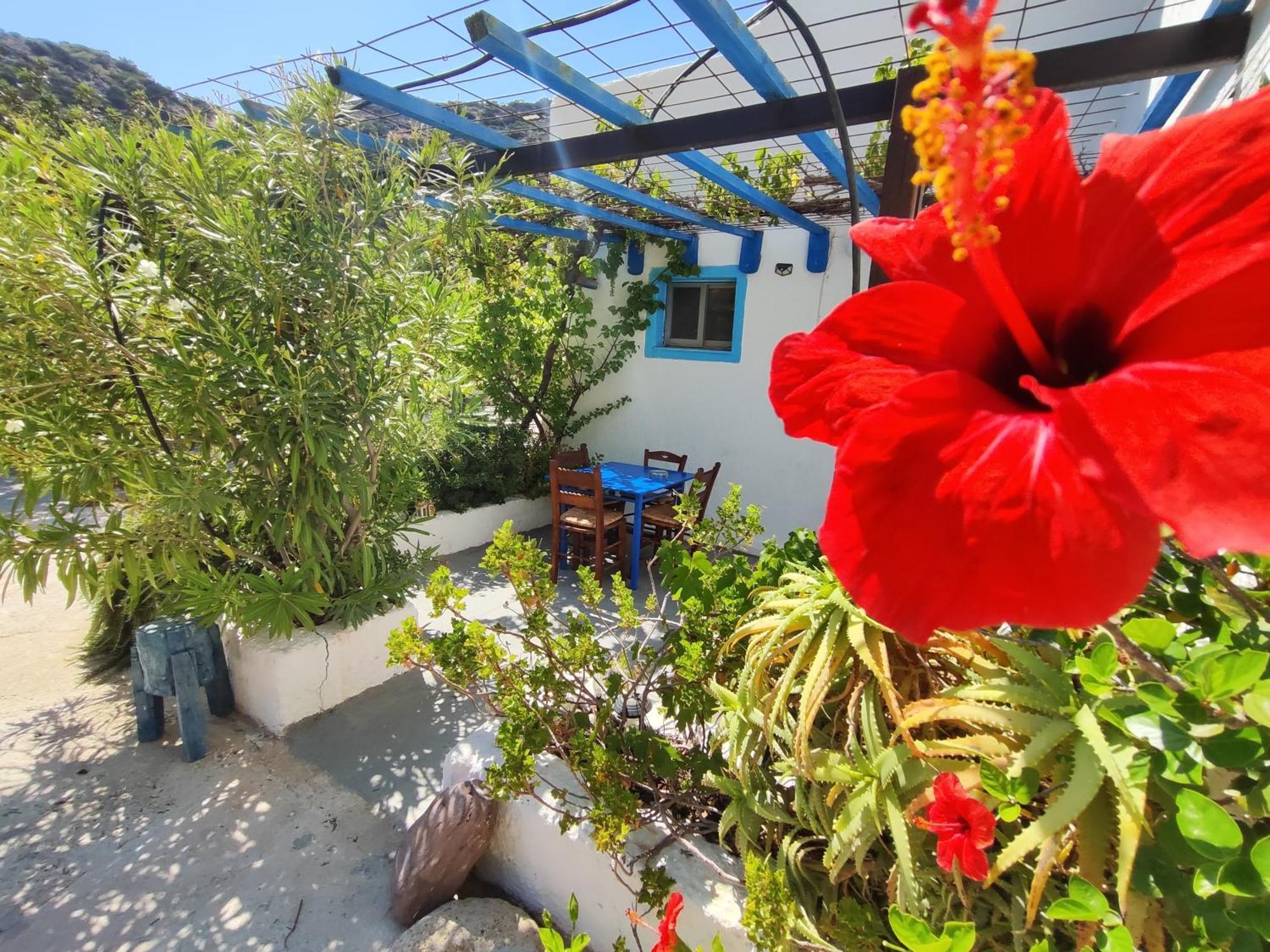 Oleander'S Garden Traditional Cretan Cottage Ferma Exterior photo