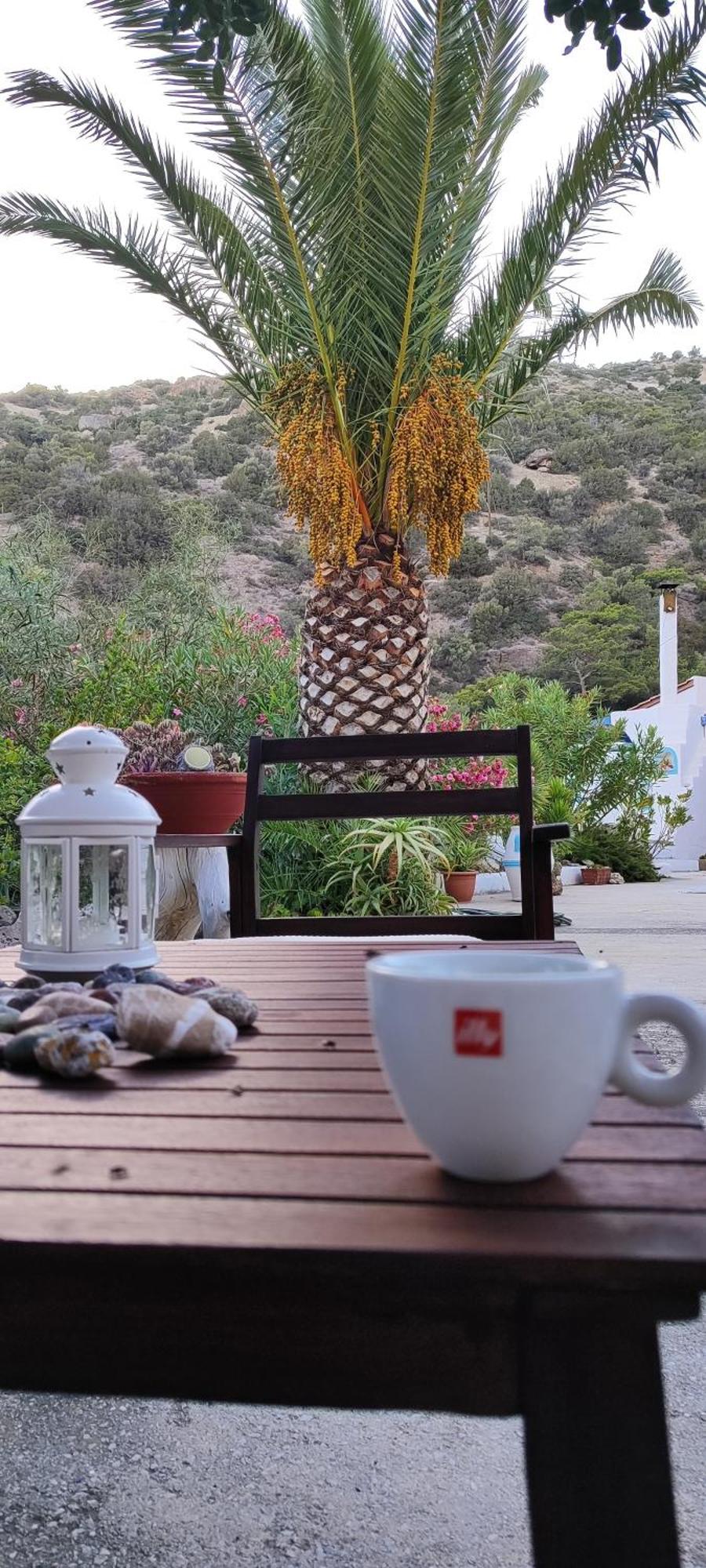 Oleander'S Garden Traditional Cretan Cottage Ferma Exterior photo
